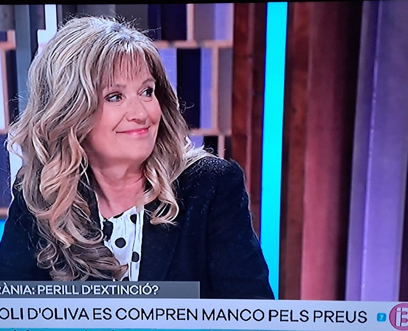 Cinc dies IB3 TV